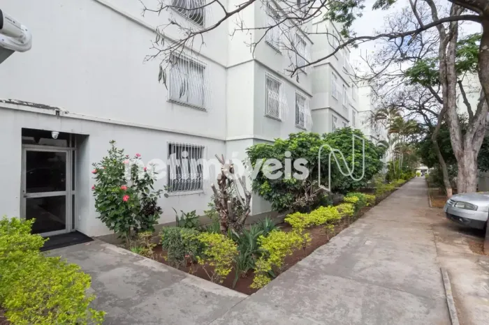 Venda Apartamento 3 quartos São João Batista Belo Horizonte