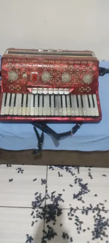 Acordeon sonelli 120 bx