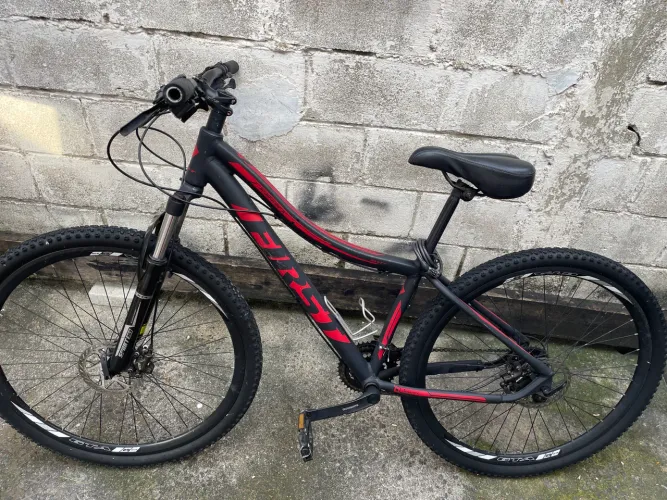 Bicicleta aro 29 feminina