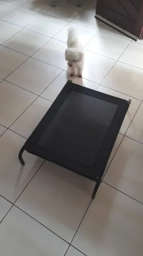 Cama pet, cães e gatos, alta qualidade - Lavável