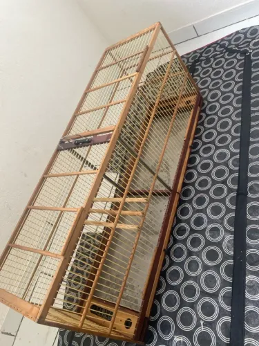 Voador de 1 metro para sair hoje !