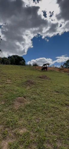 Vende-se terra em Padre Paraíso