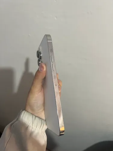 iPhone 13pro Max