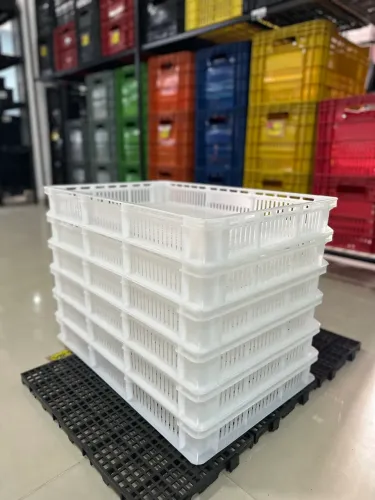Caixa Plastica para congelamento, para Manuseio e congelamento de Alimentos