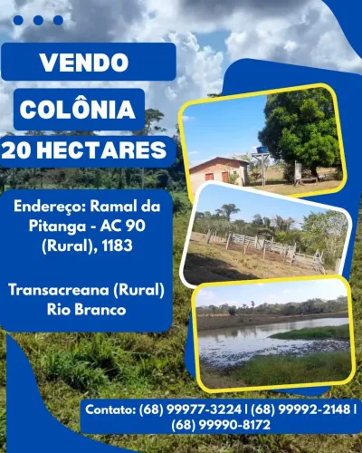 Vendendo essa Colônia 20 hectares 