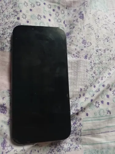 iPhone 13Pro