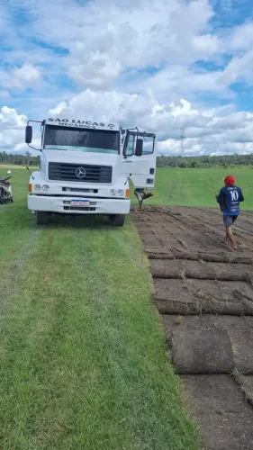 Grama esmeralda R$ 6,00M2 - VENDA E PLANTIO