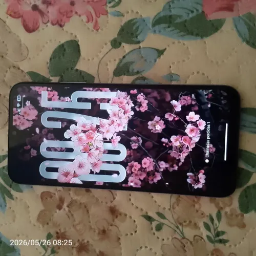 Celular 256 gigas novo na caixa com garantia 