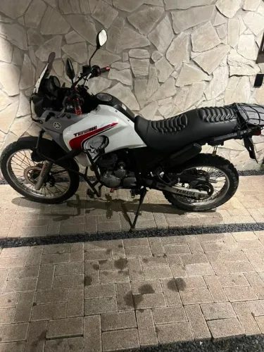Vendo Ténéré 2011 moto está em ótimo estado só pega e anda