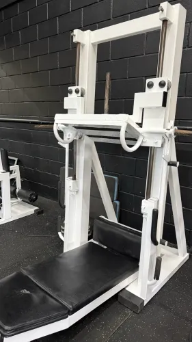Legpress 90 Leg Vertical