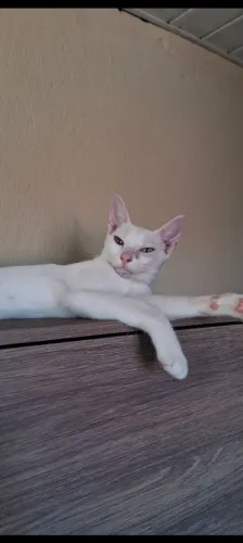 para doação 