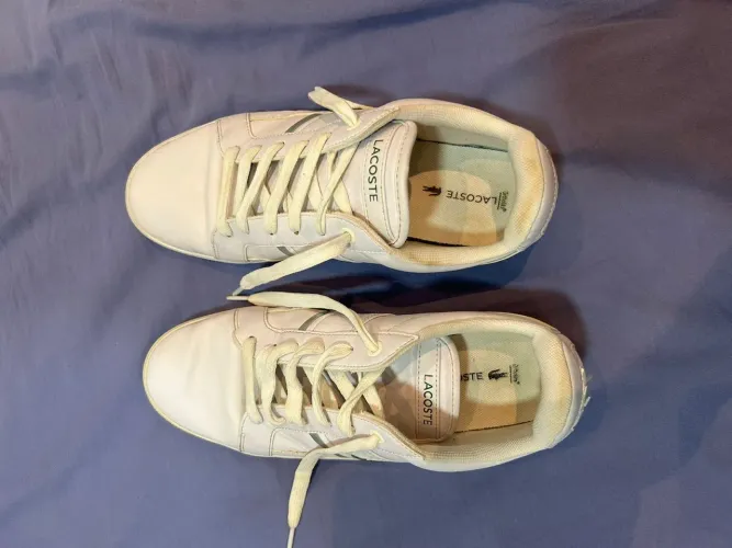 Sapato Lacoste T-Base Masculino tamanho 41 BR