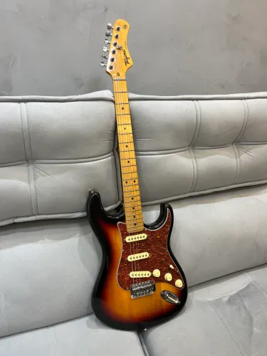Guitarra Tagima TG-530 Strato