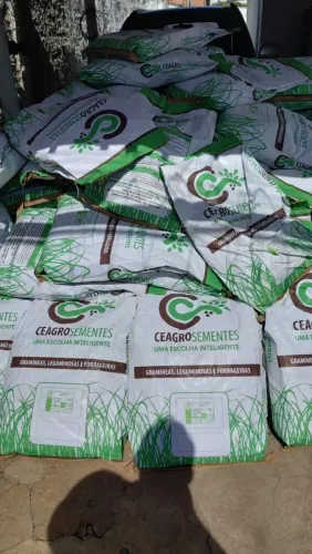 Vendo semente capim sarandi, BRS SARANDI. Andropogon. Saco com 7kg.