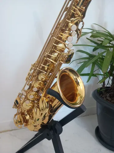 Sax alto novo