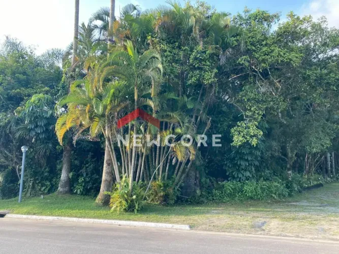 Lote em Alameda São Caetano - Boracéia - São Sebastião/SP