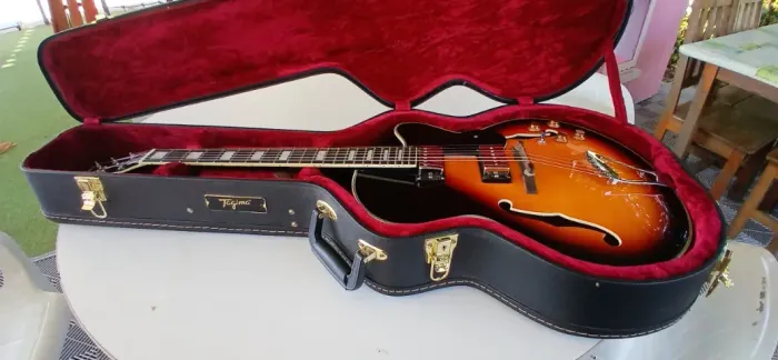 Tagima Jazz 1900 Semiacústica - Malagoli P90 Fat Boy