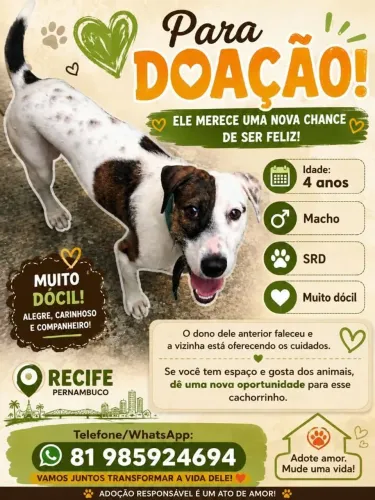 Doação
