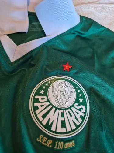 Camisa Palmeiras Jogador Eleita Mais Linda!!! 2024 (seminova-liquidando) .