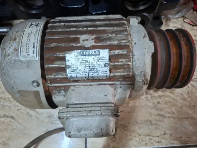 Motor Trifásico 3 cv