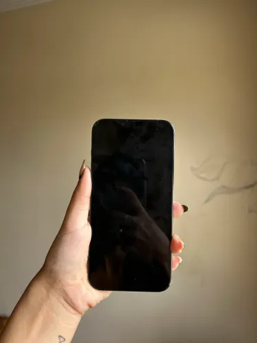 Iphone 13 Pro Max 256gb