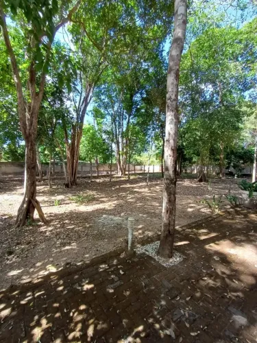 LOTE NO CONDOMINIO FAZENDA REAL 15 X 50