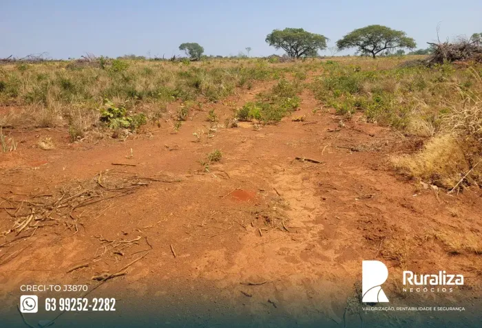 FAZENDA 120 ALQUEIRES | 320 HA EM PREPARO | ALTO POTENCIAL