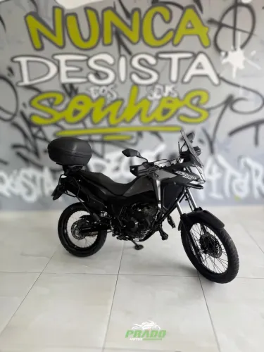 Sahara Adv, 2024.
