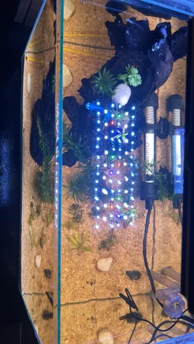 Aquário usado 20L