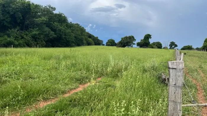 OPORTUNIDADE!! FAZENDA 400 HECTARES EM RIO NEGRO MS