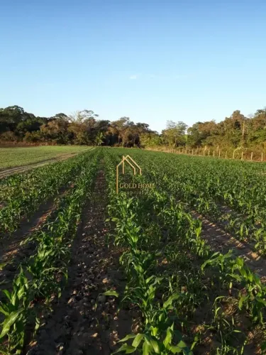 Sítio de 10 hectares à Venda em Santo Antônio de Leverger MT