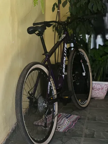 BICICLETA ARO 29 ABSOLUTE