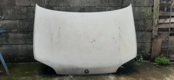 Capo do renault clio imperdivel !!!