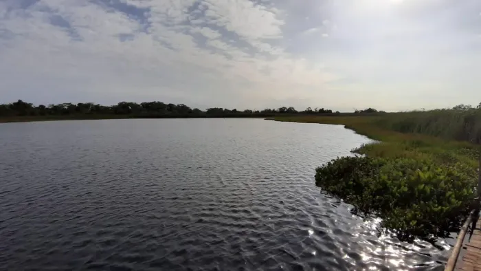 outros à venda em zona rural, bataguassu 1000m²