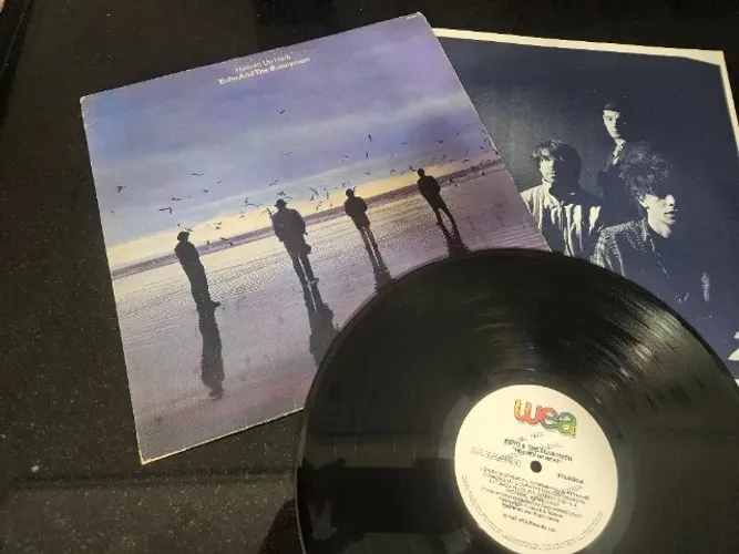 LP disco de vinil Echo & the Bunnymen - Heaven Up Here (1981)