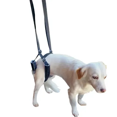 Órtese Suporte para Quadril para Cachorro TAM G Marca Pet Best Soluções