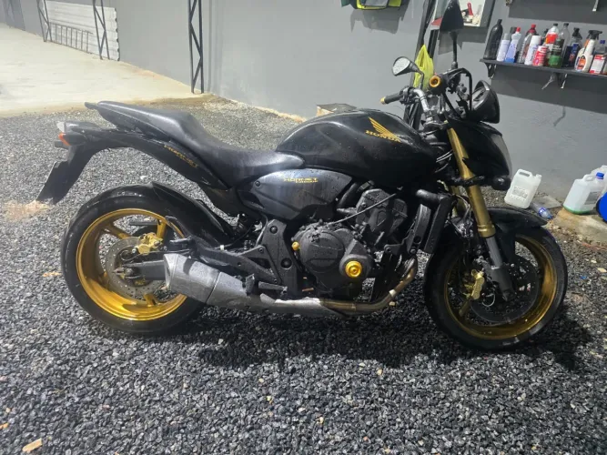 2009 Honda Hornet
