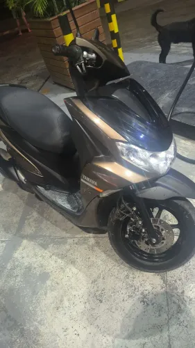 Fluo 125