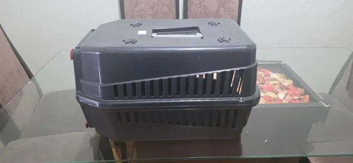 Caixa De Transporte Para Pets Cães Gatos Casinha de Viagem