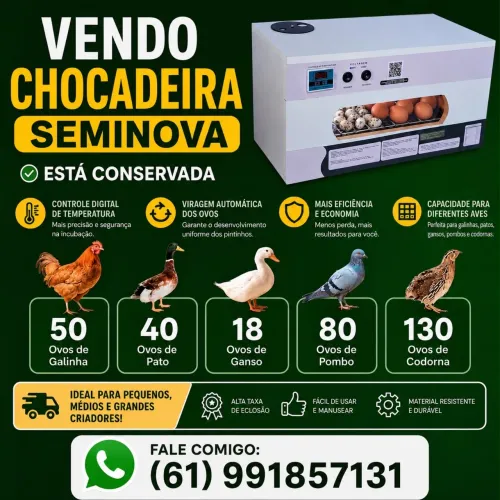 Chocadeira automática