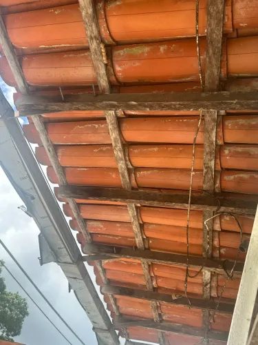 Telhas cerâmicas (650 unidades)