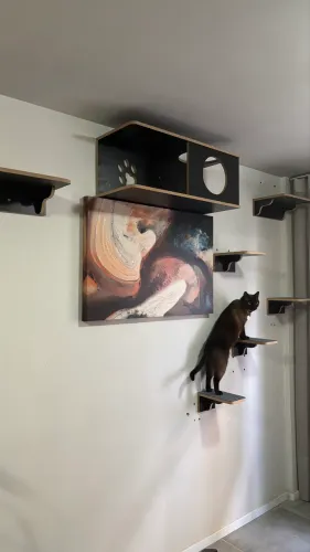 Playground Premium para gatos
