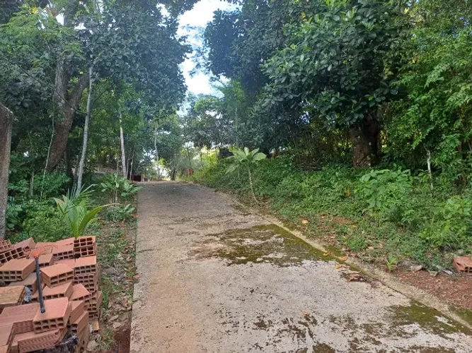 Sítio em Jambeiro 2.245,90m² - Excelente Localização/ Oportunidade única