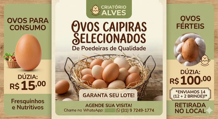 Ovos Férteis e Ovos para Consumo - Caipira Selecionados Criatório Alves