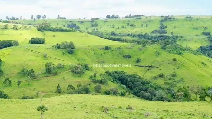 Fazenda em Guaraniaçu