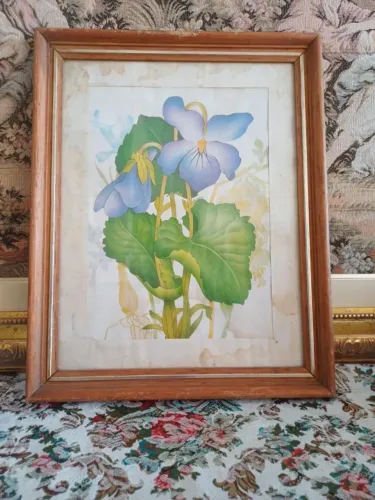 Quadro gravura 30cm