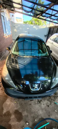 Peugeot 207 XS 1.6 Flex 16V 5P 2009