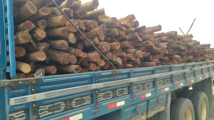 VENDO ESTACAS SABIÁ/ESTICADORES  