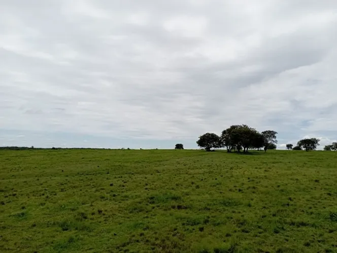 Fazenda em Dois Irmãos.