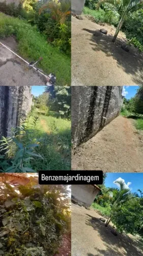 Jardinagem em geral 